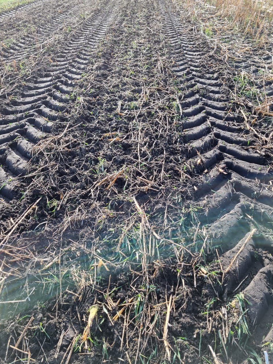 Ergebnis nach Bearbeitung mit Messerwalze